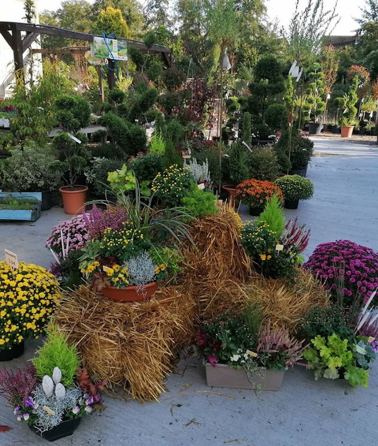 GMG Pépinière Paysage - Entretien jardin et Espace vert à Erstein > Obernai